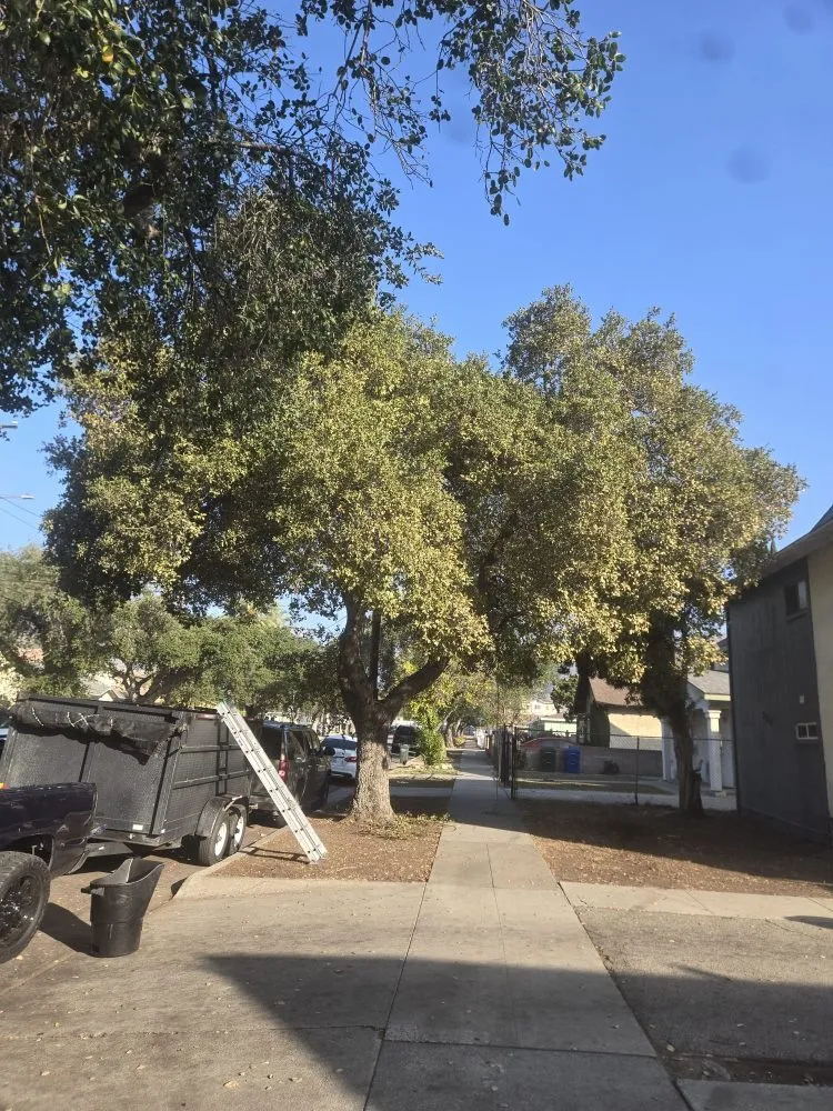 Custom landscape installation experts serving La Puente, CA - Garcias Landscape and Tree Triming Service