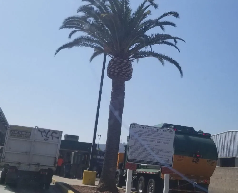 Custom landscape design in La Puente, CA by Garcias Landscape and Tree Triming Service