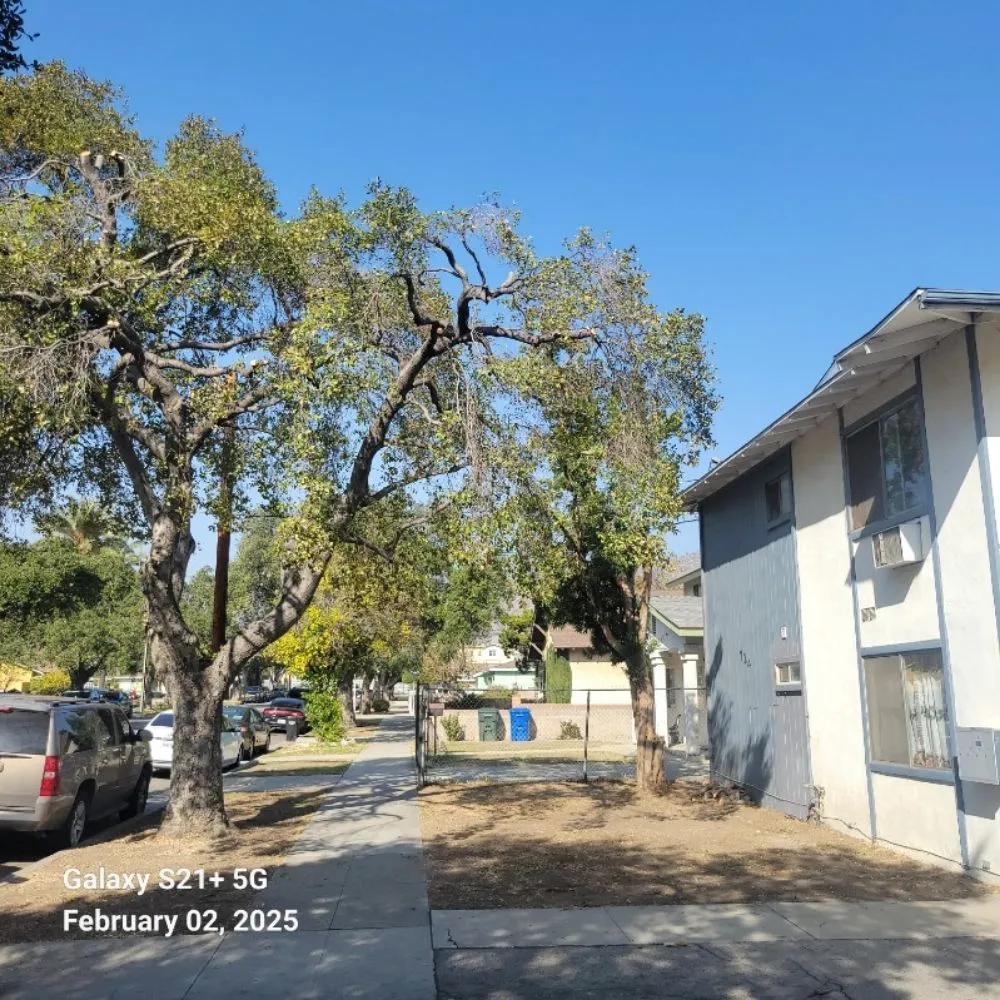 Affordable lawn care service for year-round maintenance across La Puente, CA - Garcias Landscape and Tree Triming Service