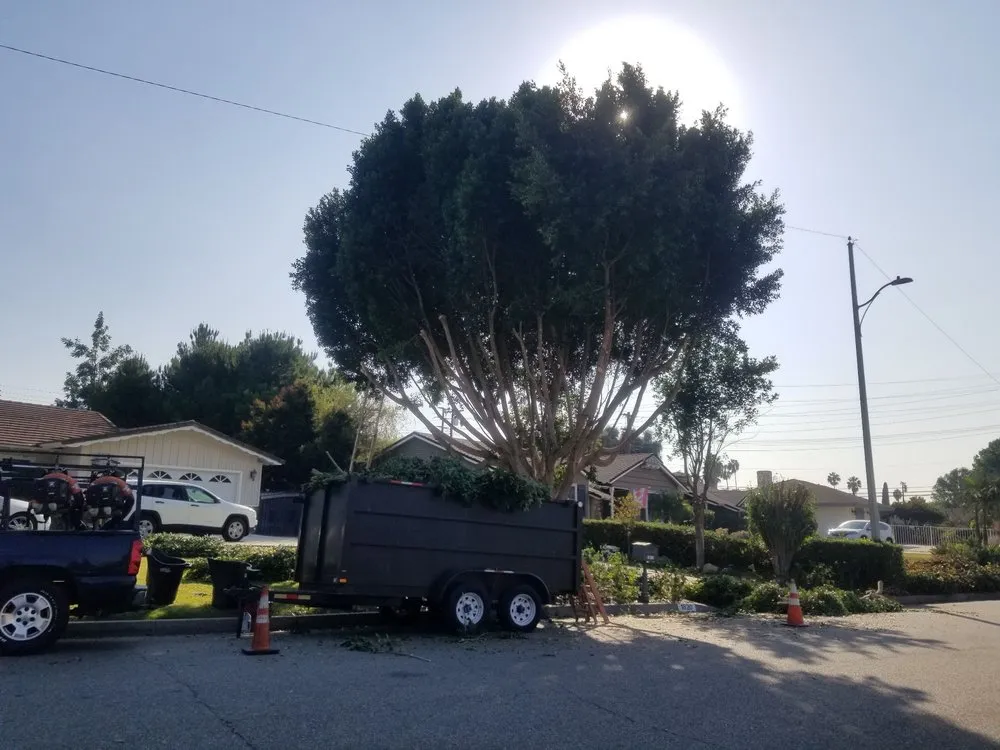 Top-rated lawn care service experts serving La Puente, CA - Garcias Landscape and Tree Triming Service