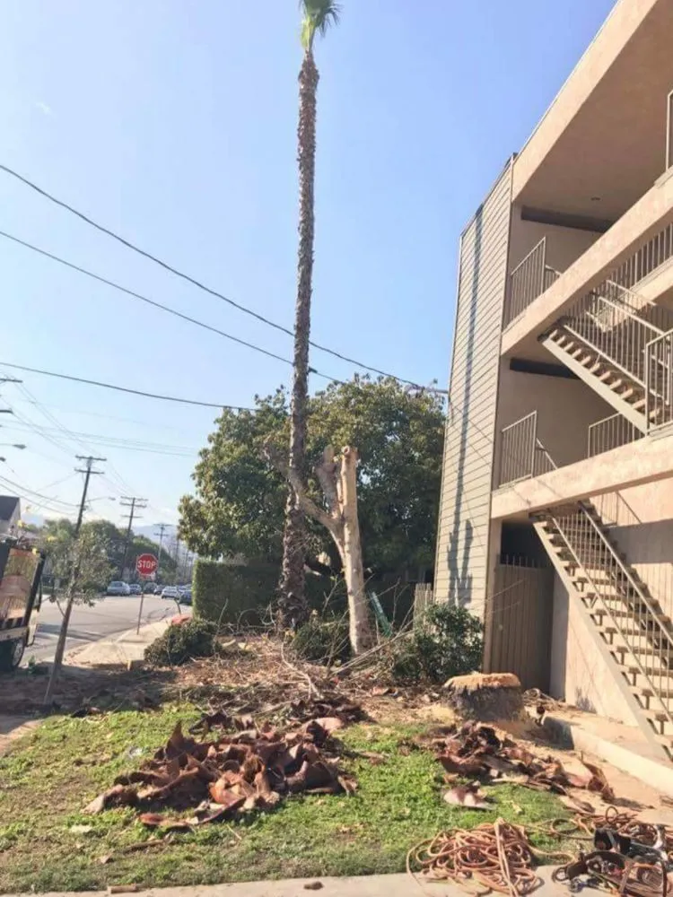 Reliable landscape design experts serving La Puente, CA - Garcias Landscape and Tree Triming Service