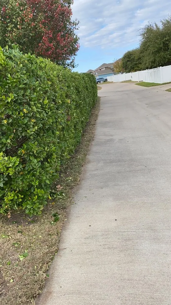 Professional yard cleanup service for year-round maintenance in Austin, TX by Garcia’s Landscape