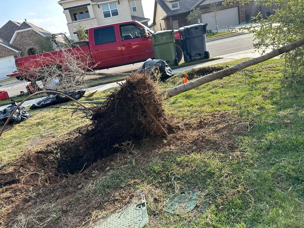 Expert landscaping services for homes across Austin, TX - Garcia’s Landscape