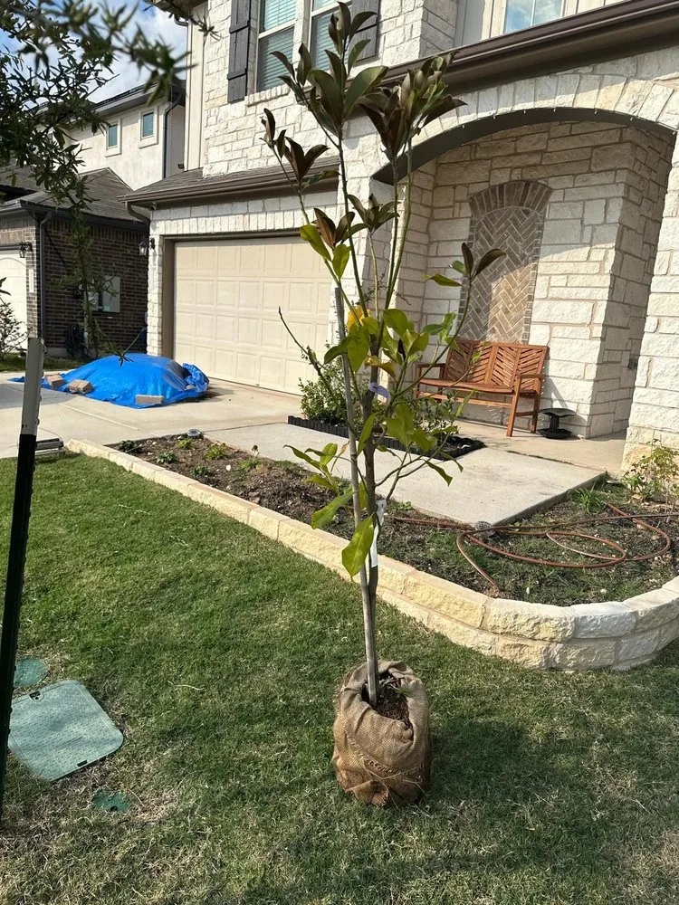 Top-rated lawn mowing service in Austin, TX - Garcia’s Landscape