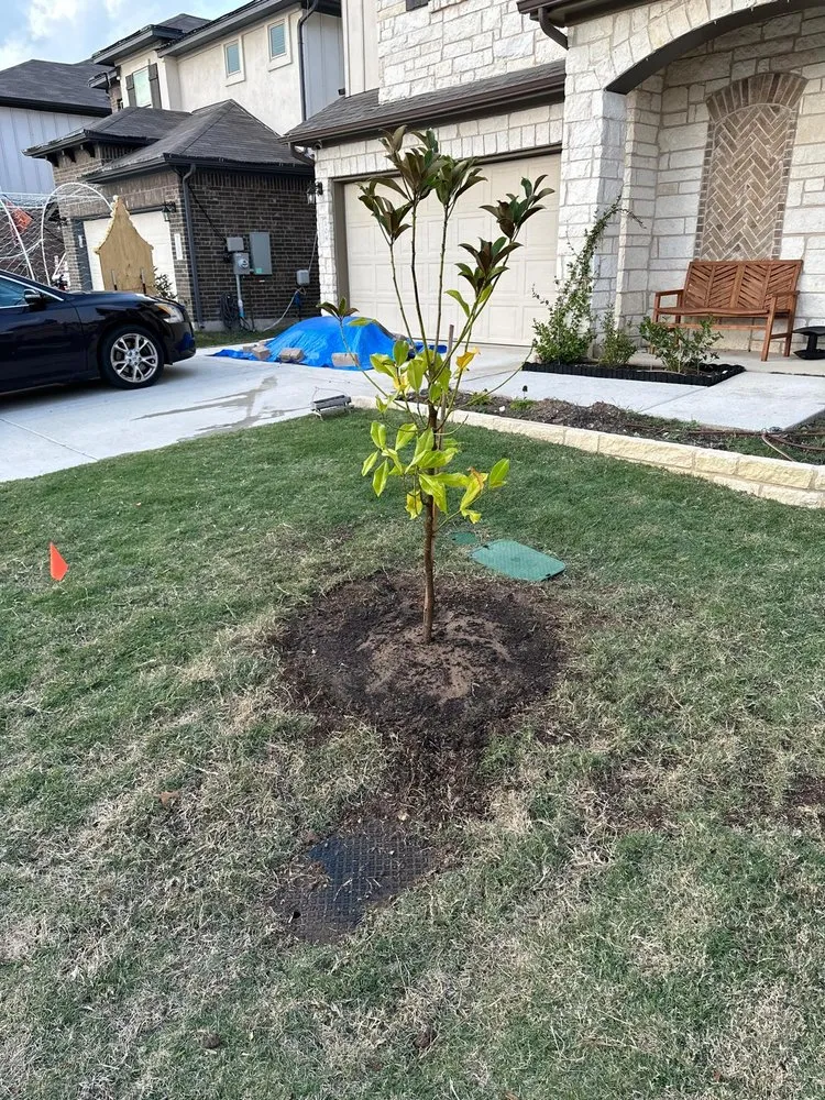 Professional outdoor landscaping for year-round maintenance across Austin, TX - Garcia’s Landscape