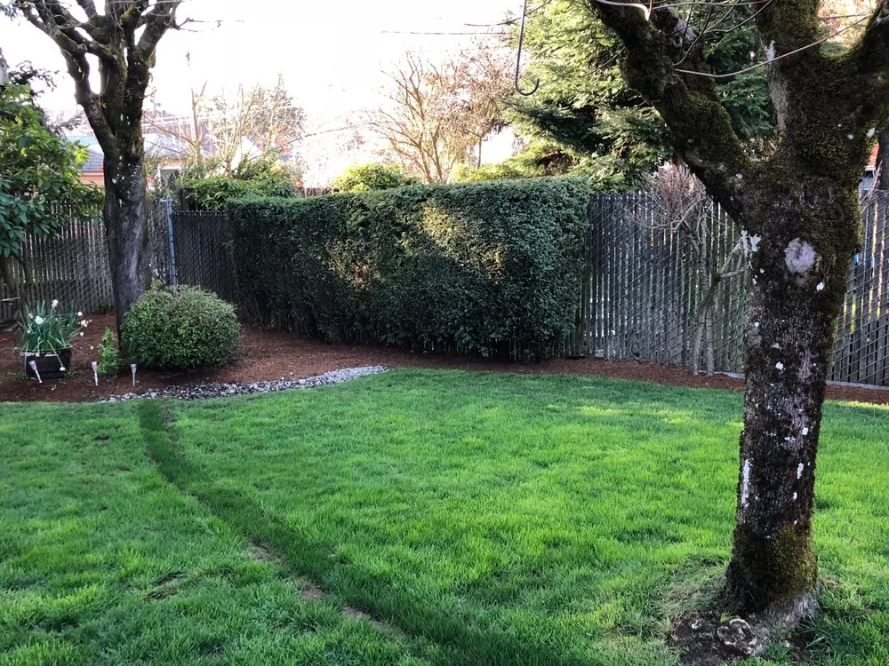 Professional residential landscaping for year-round maintenance in Tualatin, OR by Garcia's Landscape Maintenance