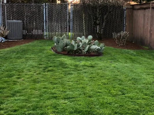 Garcia's Landscape Maintenance