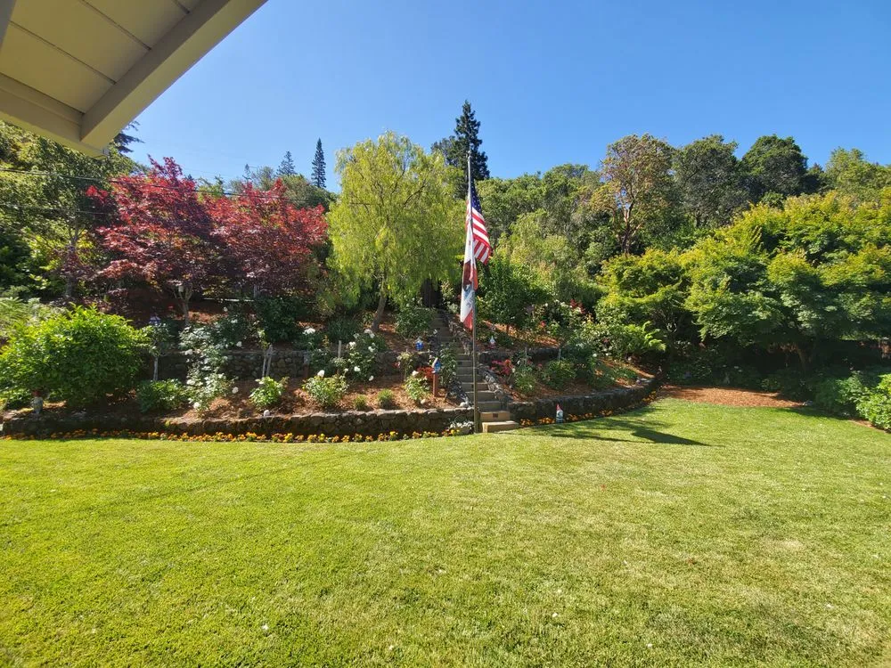 Expert yard cleanup service in San Rafael, CA by Garcia's Landscape Services