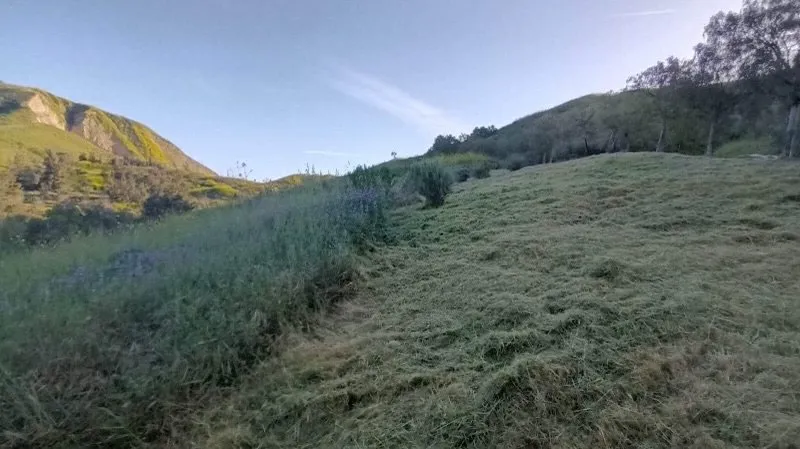 Local yard maintenance experts serving Oxnard, CA - Garcia’s Landscaping & Concrete