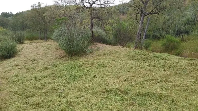 Reliable landscaping services experts serving Oxnard, CA - Garcia’s Landscaping & Concrete