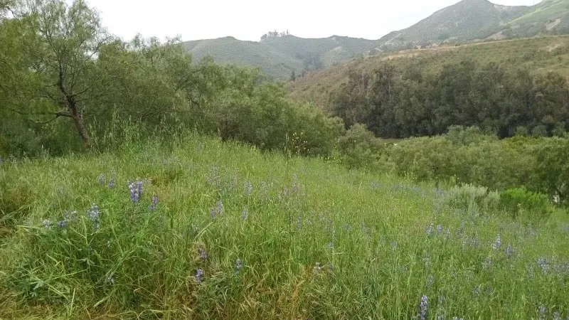 Top-rated landscaping services for outdoor upgrades in Oxnard, CA by Garcia’s Landscaping & Concrete