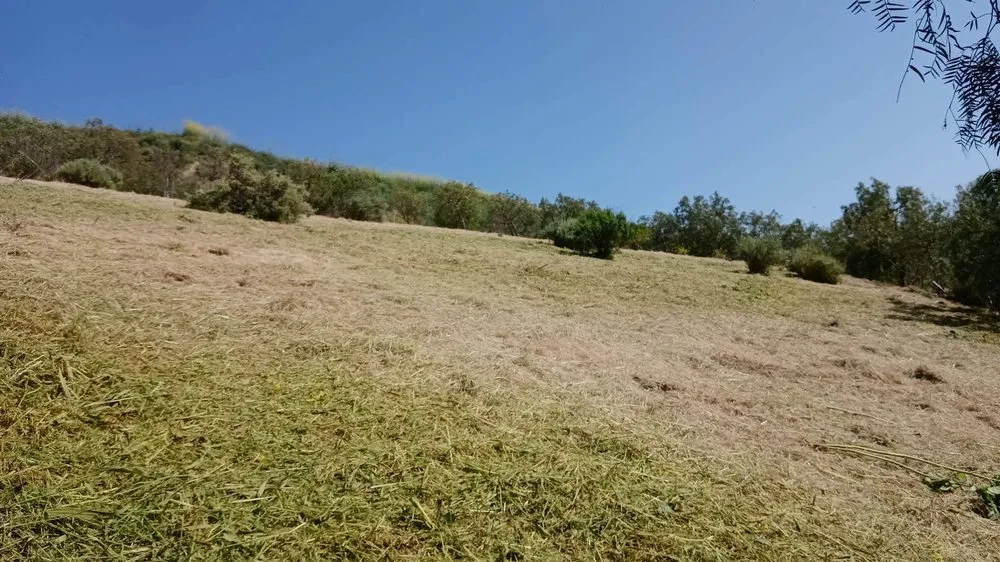 Reliable garden landscaping in Oxnard, CA - Garcia’s Landscaping & Concrete