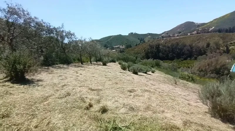 Local lawn mowing service for year-round maintenance across Oxnard, CA - Garcia’s Landscaping & Concrete