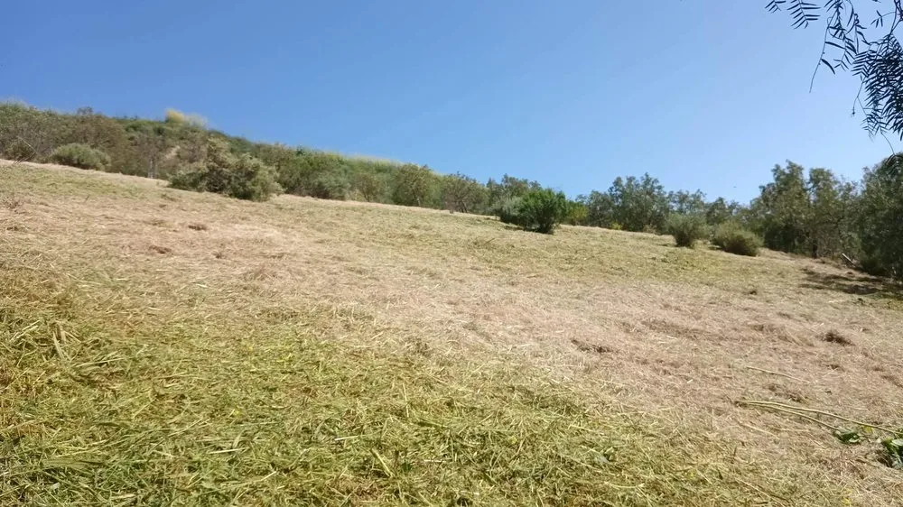 Custom outdoor landscaping experts serving Oxnard, CA - Garcia’s Landscaping & Concrete