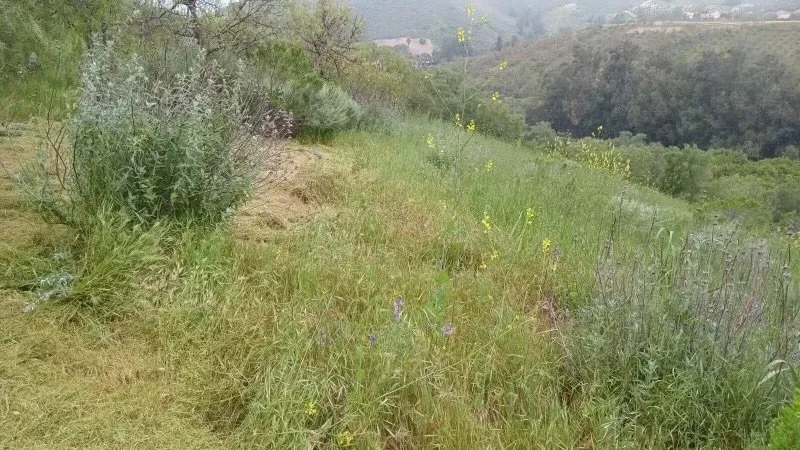 Custom landscape installation in Oxnard, CA - Garcia’s Landscaping & Concrete