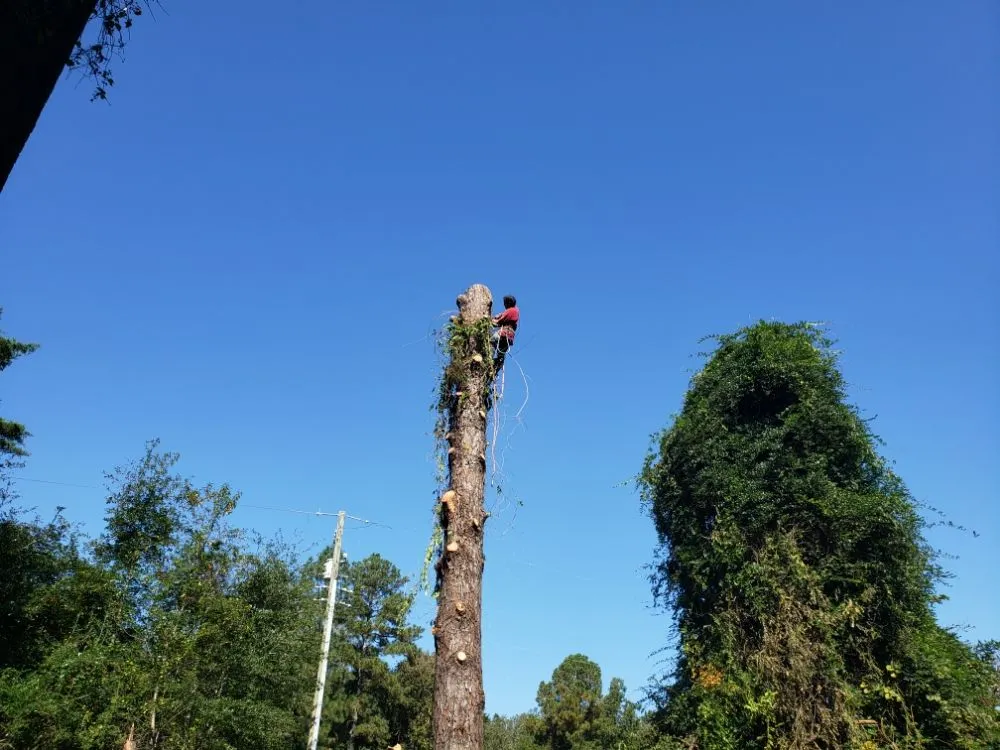 Trusted lawn mowing service experts serving Aberdeen, NC - Garcia's Landscaping & Construction