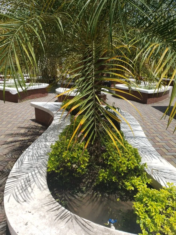 Professional landscape installation near you in Aberdeen, NC by Garcia's Landscaping & Construction