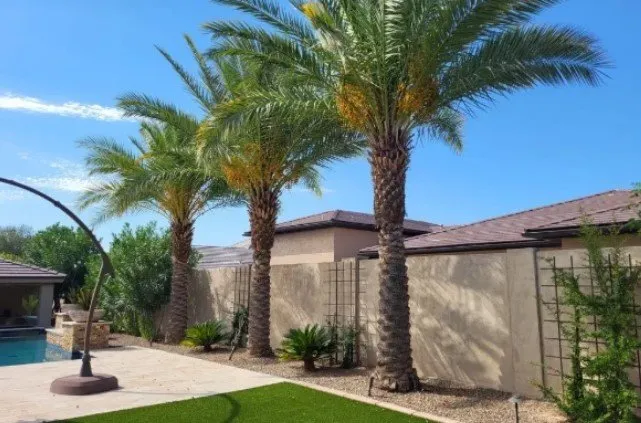 Local yard maintenance with custom design in Chandler, AZ by Garcia's Landscaping & Construction