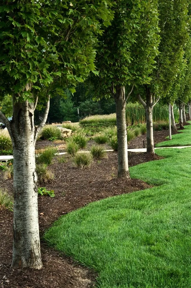 Top-rated landscape design in Oxnard, CA by Garcia's Landscaping & Maintenance