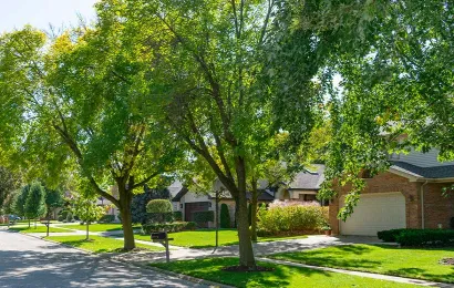 Trusted yard maintenance for beautiful yards across Oxnard, CA - Garcia's Landscaping & Maintenance