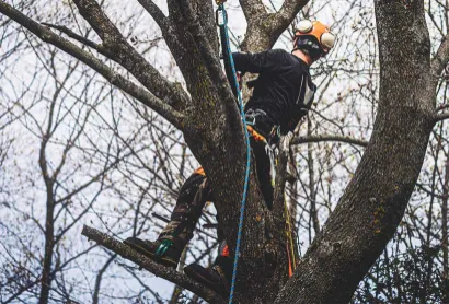 Local residential landscaping experts serving Oxnard, CA - Garcia's Landscaping & Maintenance
