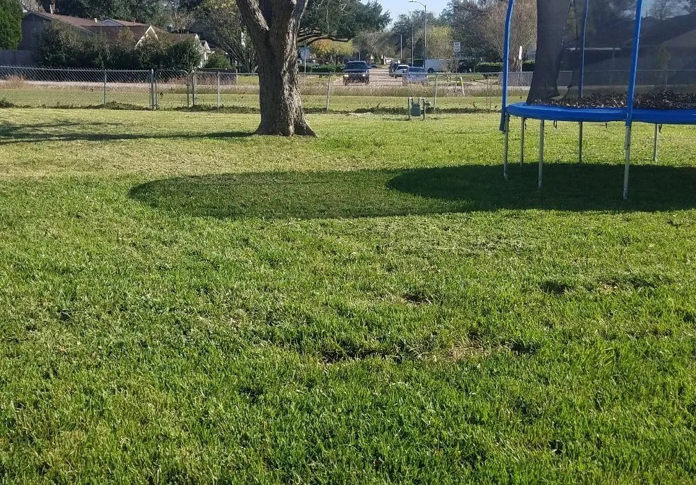 Reliable residential landscaping in Houston, TX by Garcia's Landscaping & Remodeling Services