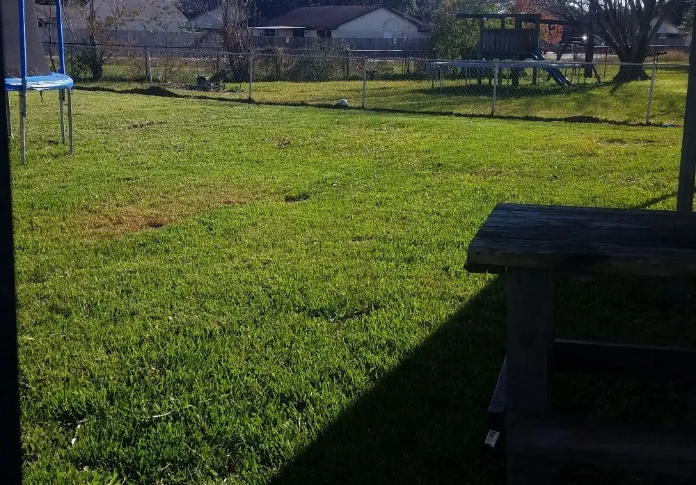 Local lawn mowing service in Houston, TX - Garcia's Landscaping & Remodeling Services