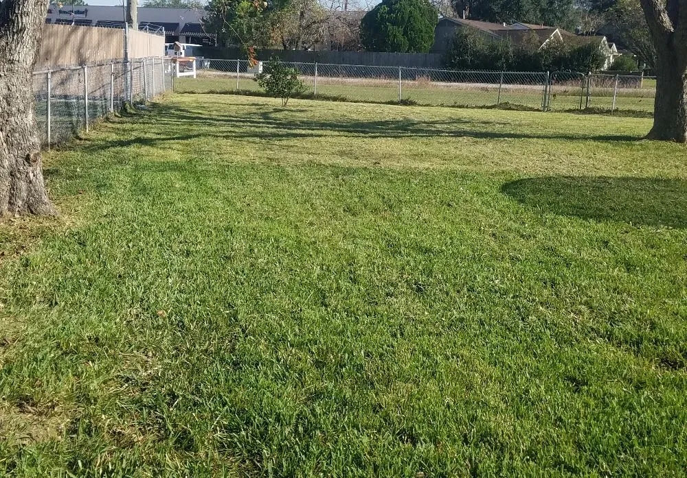 Expert landscaping services with custom design across Houston, TX - Garcia's Landscaping & Remodeling Services