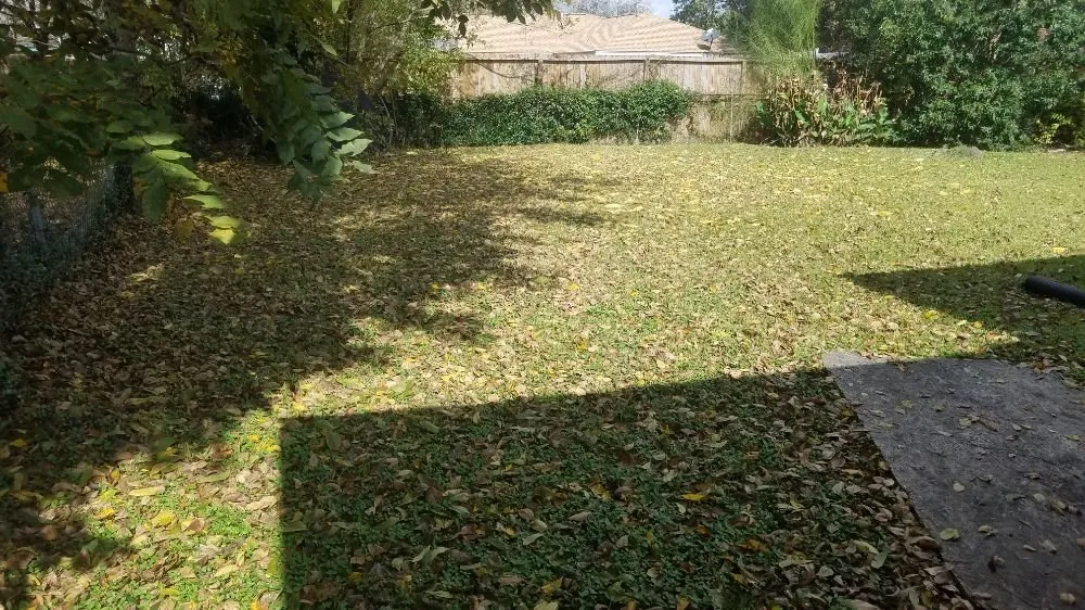 Top-rated yard cleanup service for year-round maintenance in Houston, TX by Garcia's Landscaping & Remodeling Services