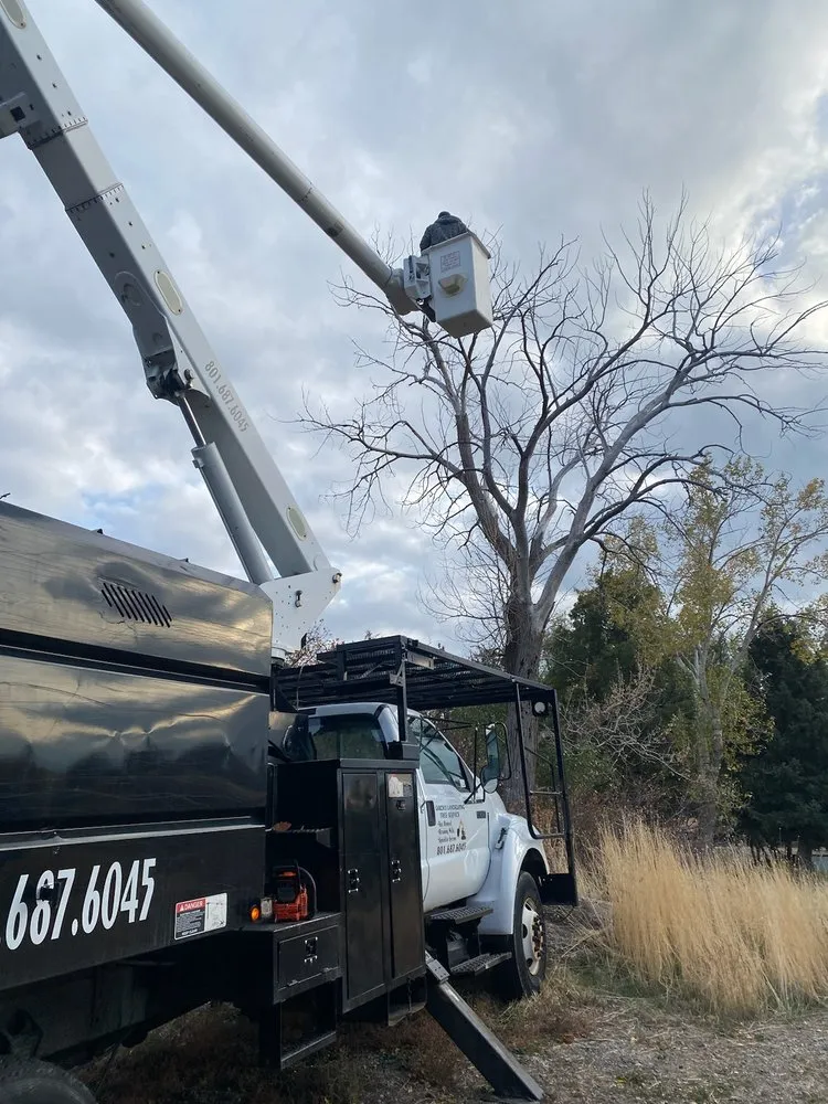 Trusted landscaping services with custom design across Pleasant Grv, UT - Garcia's Landscaping & Tree Service