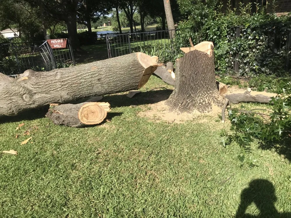 Reliable lawn mowing service near you across Valley View, TX - Garcias Landscaping And Granite