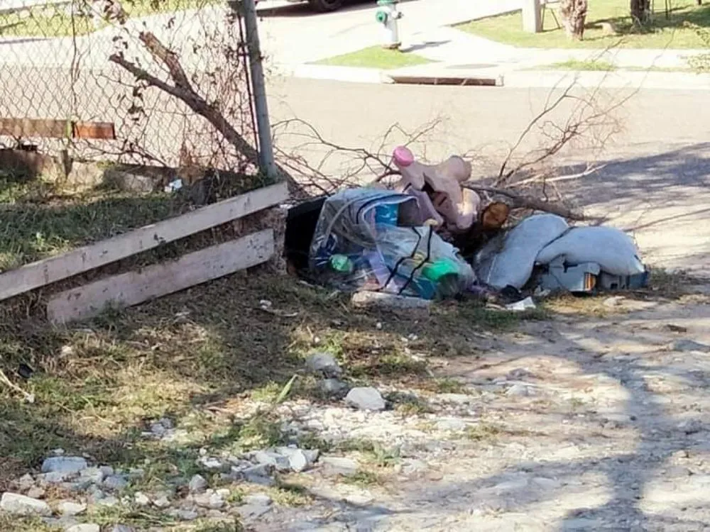 Trusted garden landscaping for residential properties across Mission, TX - Garcias landscaping and small house repairs