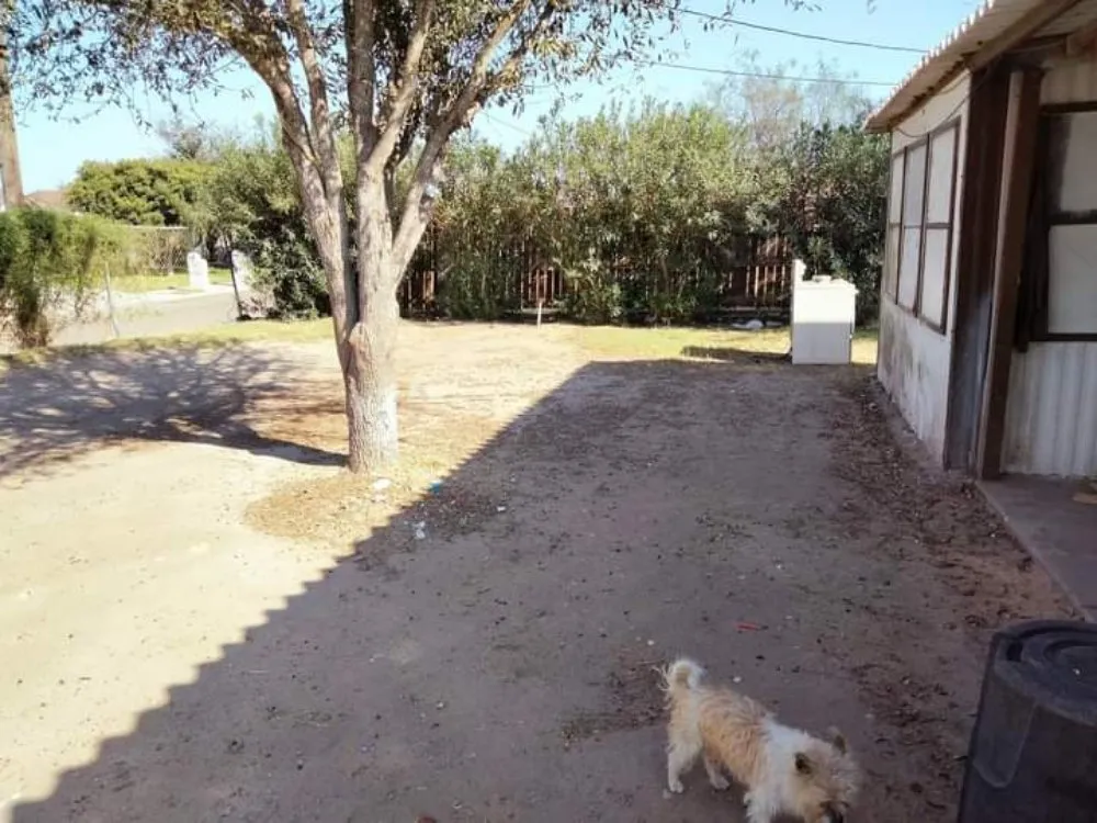 Expert yard maintenance in Mission, TX - Garcias landscaping and small house repairs