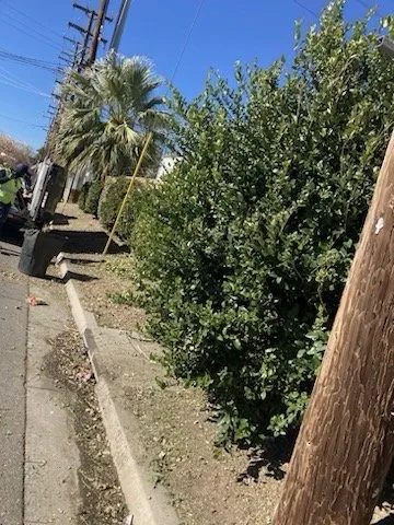 Reliable landscape design in Banning, CA by Garcias Landscaping