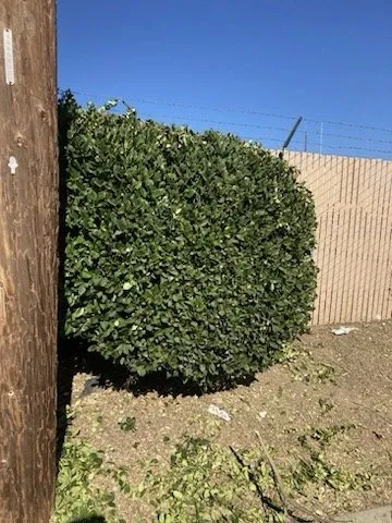 Local garden landscaping for residential properties in Banning, CA by Garcias Landscaping