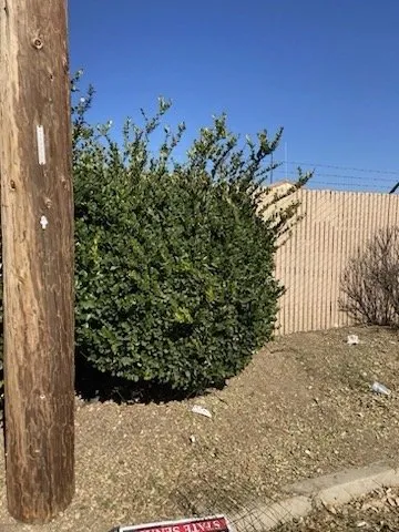 Top-rated residential landscaping experts serving Banning, CA - Garcias Landscaping