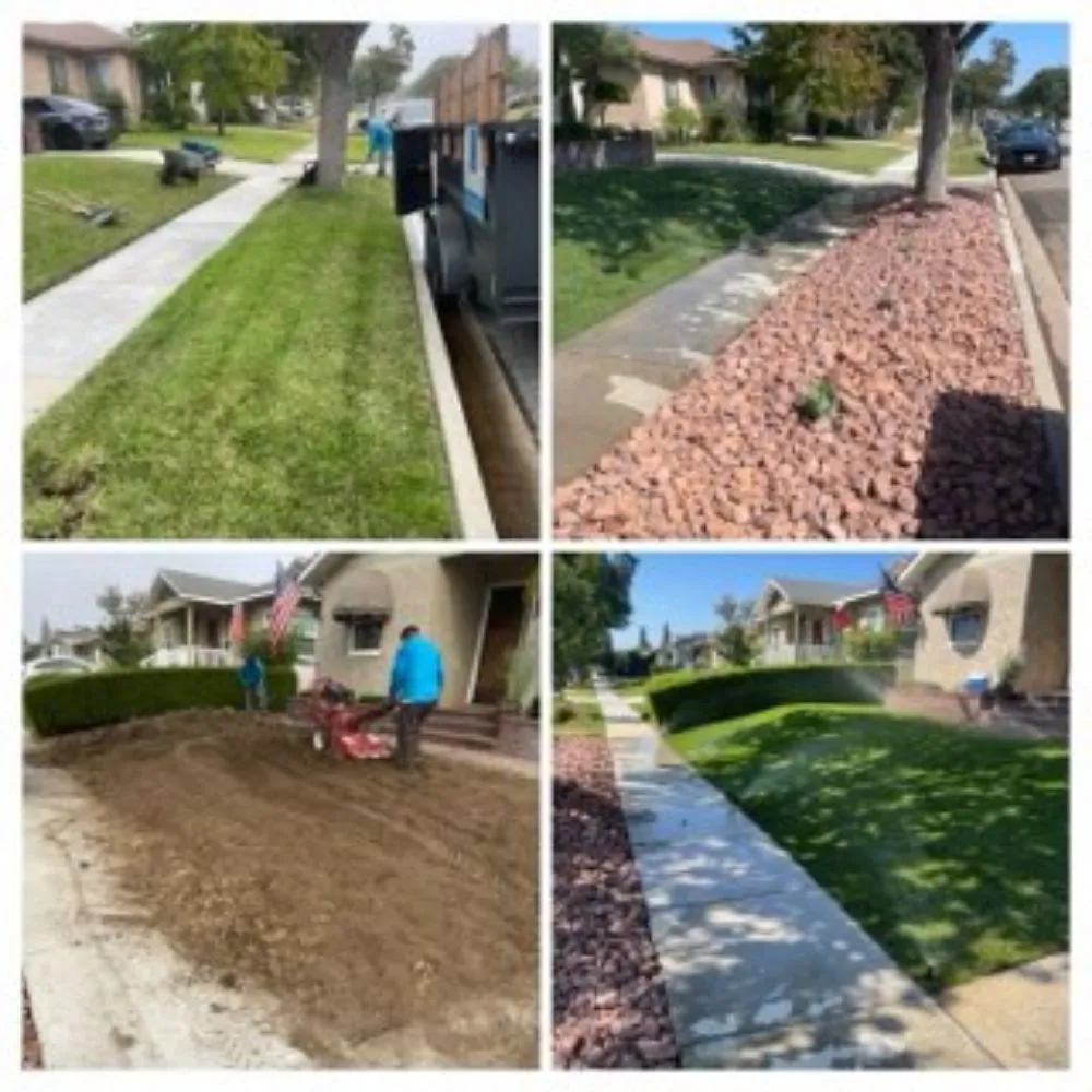 Professional outdoor landscaping for residential properties in Bellflower, CA by Garcia's Landscaping Care