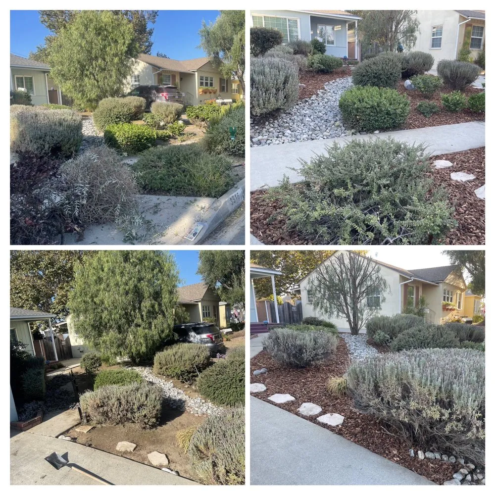 Expert landscaping services in Bellflower, CA - Garcia's Landscaping Care