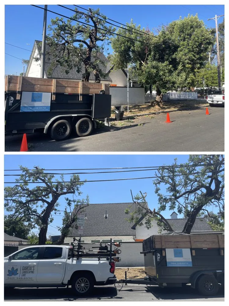 Affordable landscaping services experts serving Bellflower, CA - Garcia's Landscaping Care