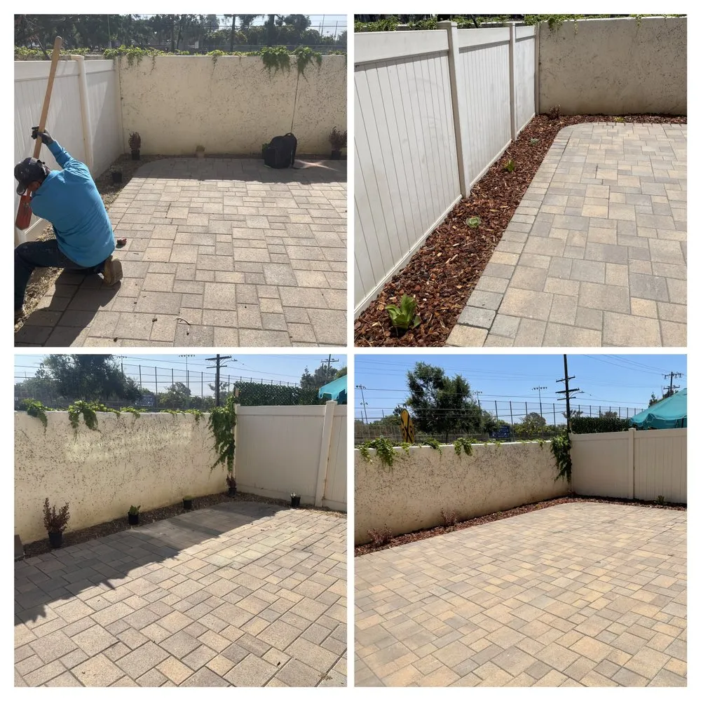 Professional lawn care service for year-round maintenance in Bellflower, CA by Garcia's Landscaping Care