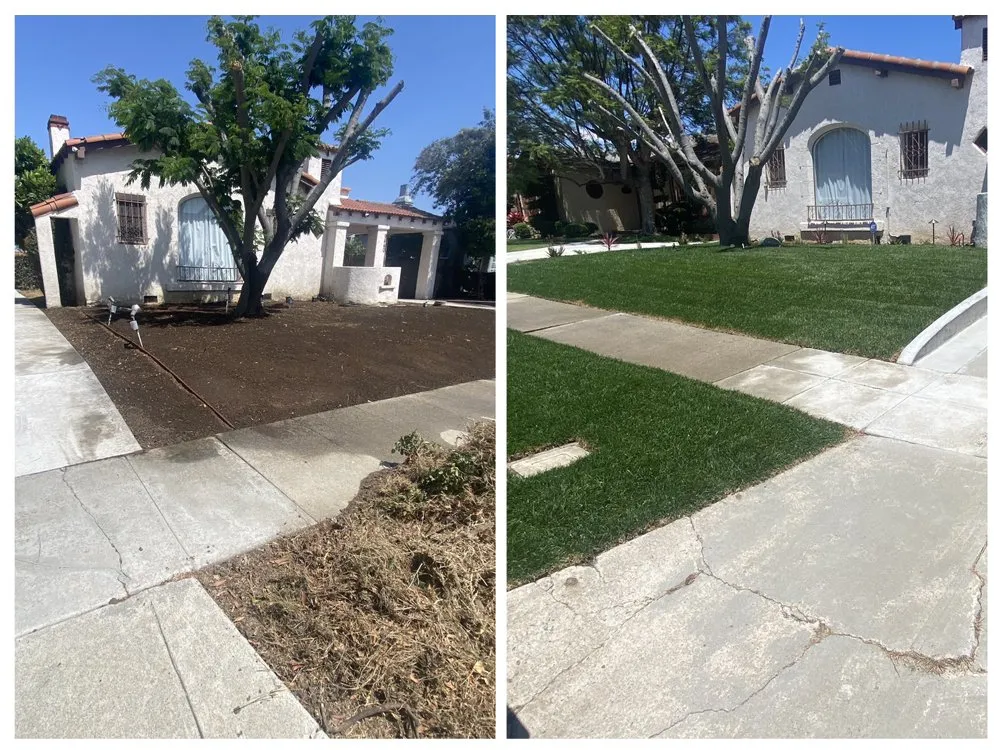 Professional residential landscaping for outdoor upgrades in Bellflower, CA by Garcia's Landscaping Care