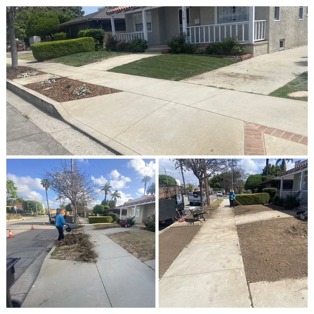 Expert landscaping services experts serving Bellflower, CA - Garcia's Landscaping Care