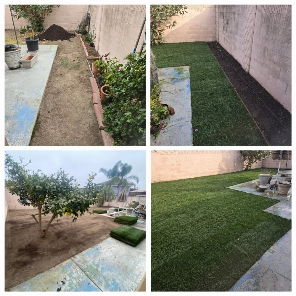 Professional yard cleanup service with custom design in Bellflower, CA by Garcia's Landscaping Care