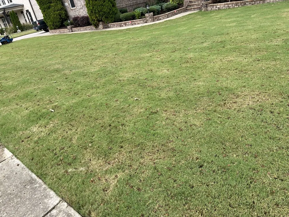 Top-rated outdoor landscaping for beautiful yards in Huntsville, AL by Garcias Landscaping Care