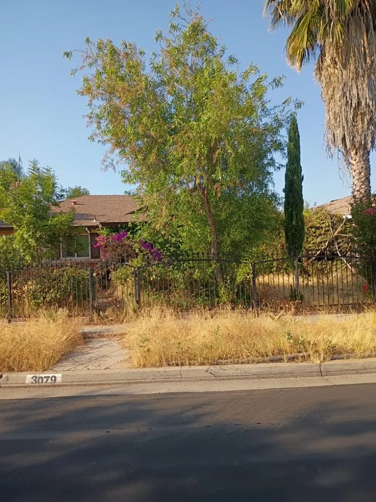 Trusted lawn care service for year-round maintenance in Fresno, CA by Garcia's Landscaping