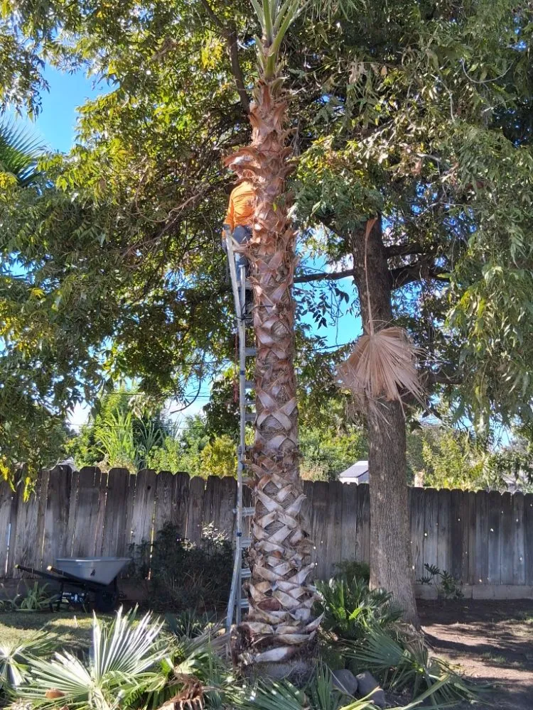 Expert outdoor landscaping in Fresno, CA - Garcia's Landscaping