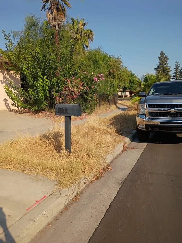 Local landscape design for beautiful yards across Fresno, CA - Garcia's Landscaping