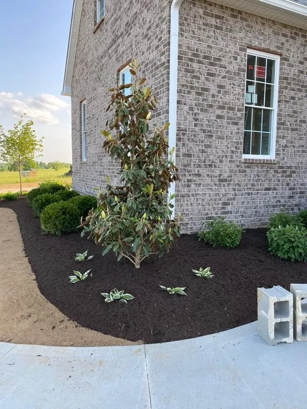 Affordable yard maintenance for outdoor upgrades across Lexington, KY - Garcia's Landscaping