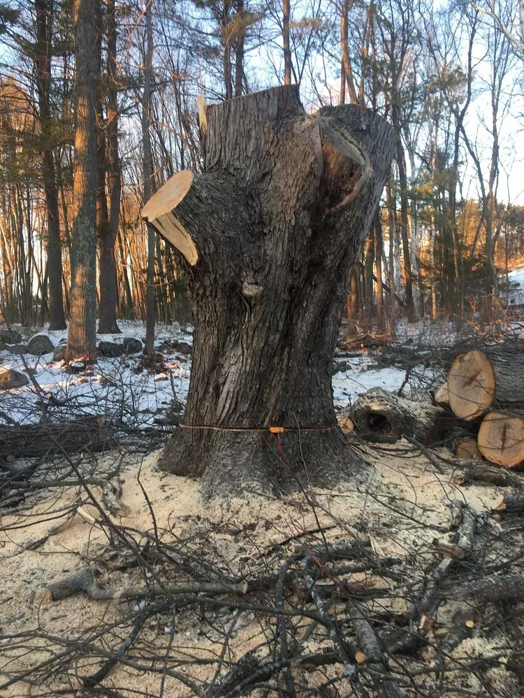 Professional outdoor landscaping experts serving Manchester, NH - Garcia's Landscaping