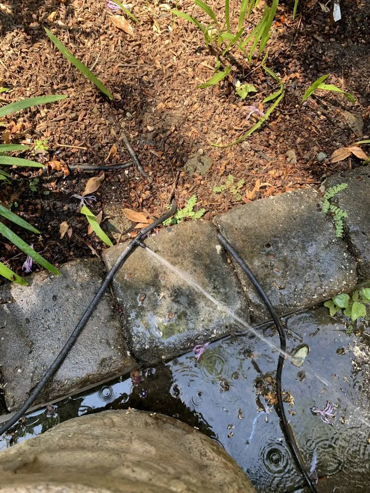 Professional outdoor landscaping experts serving Novato, CA - Garcia's Landscaping